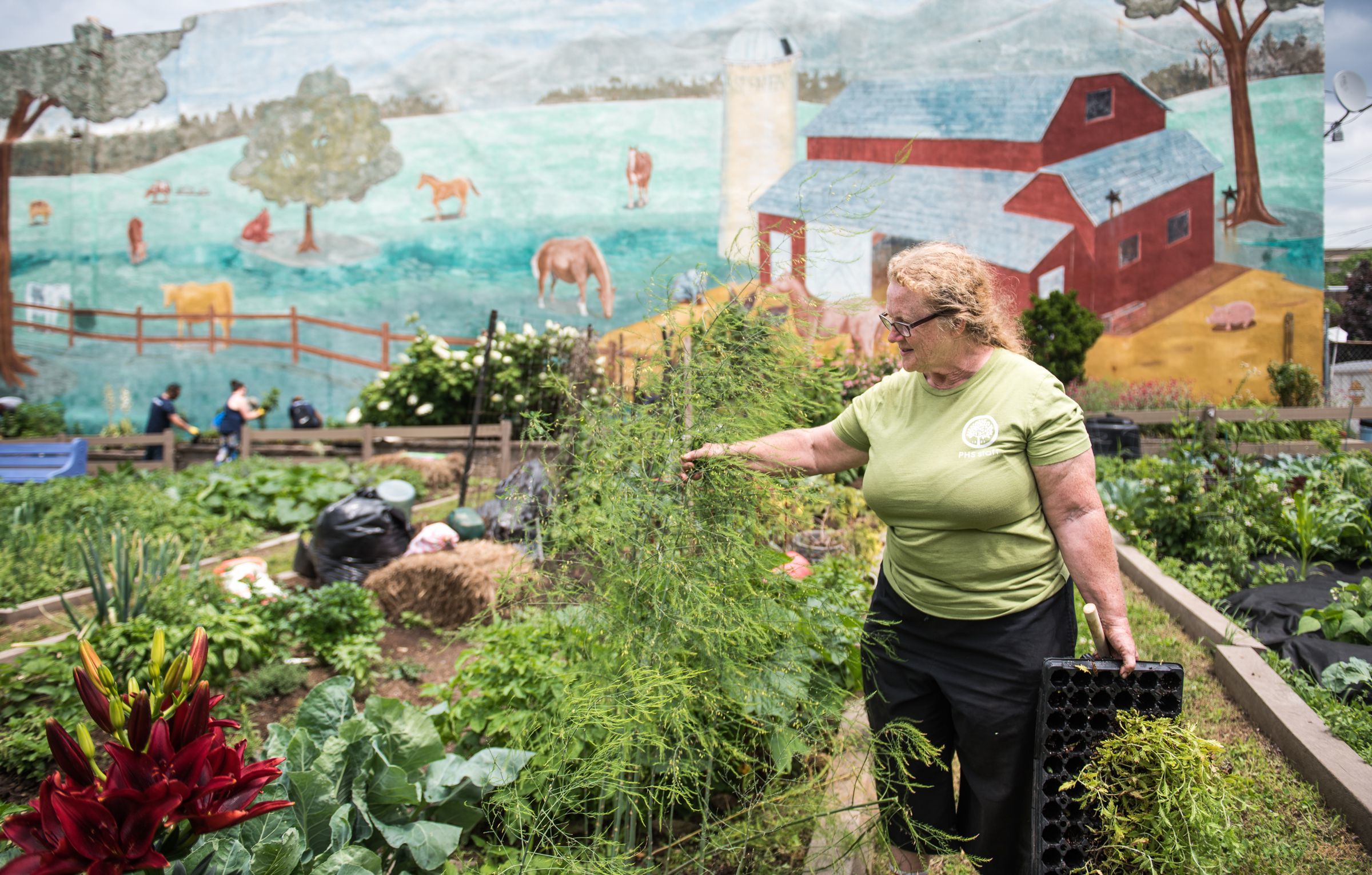 A community gardens guide to Philly, from getting wait-listed to planting  your plot