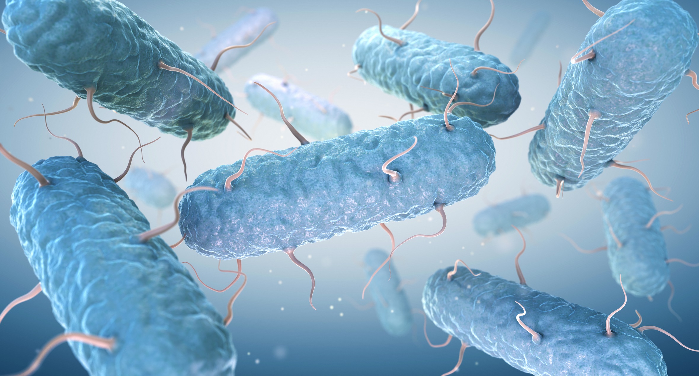 IPTG Reagent Escherichia coli | Shaanxi BLOOM Tech Co., Ltd IPTG Reagent Escherichia coli | Shaanxi BLOOM Tech Co., Ltd